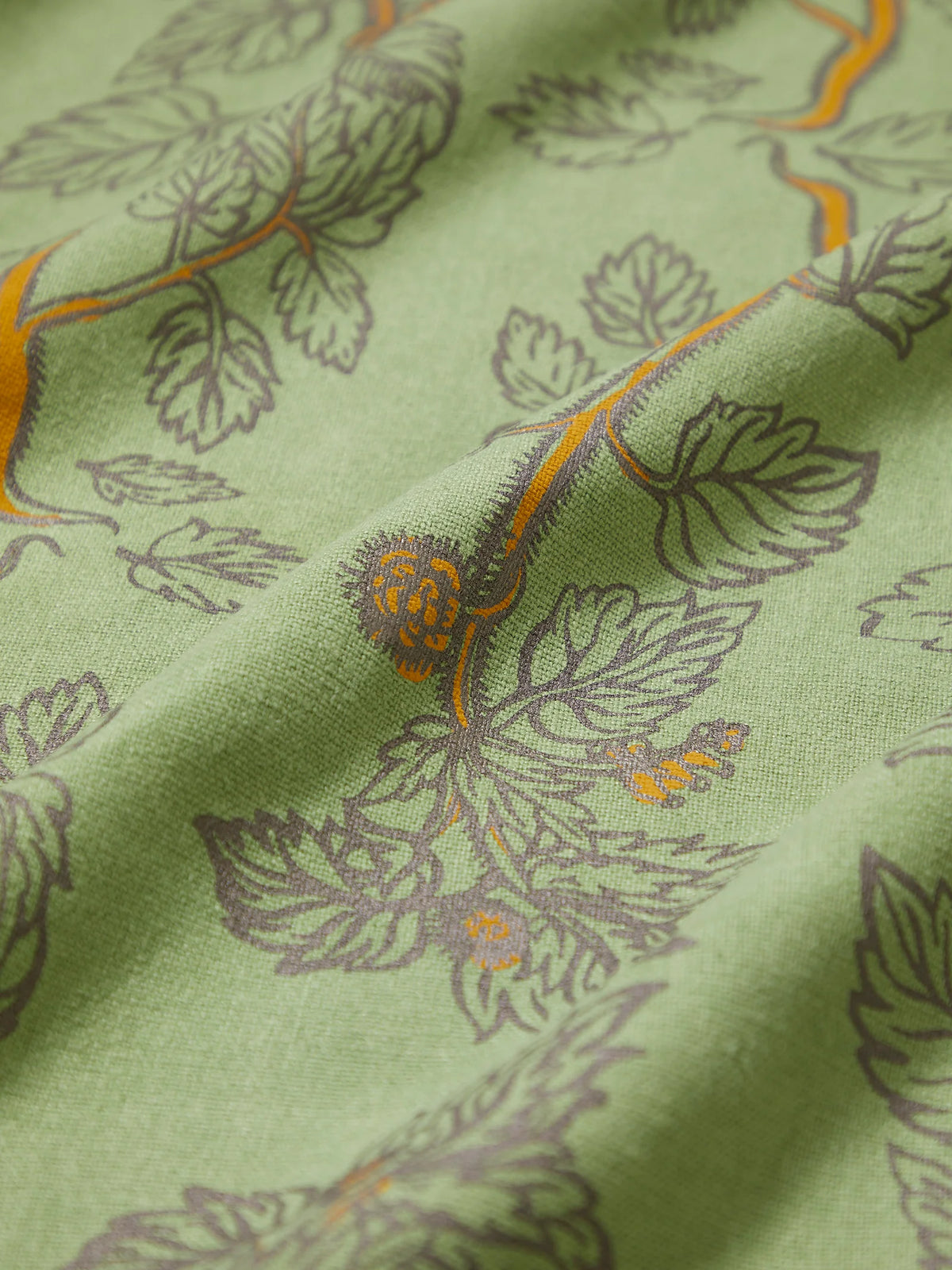 Nettle in Sage