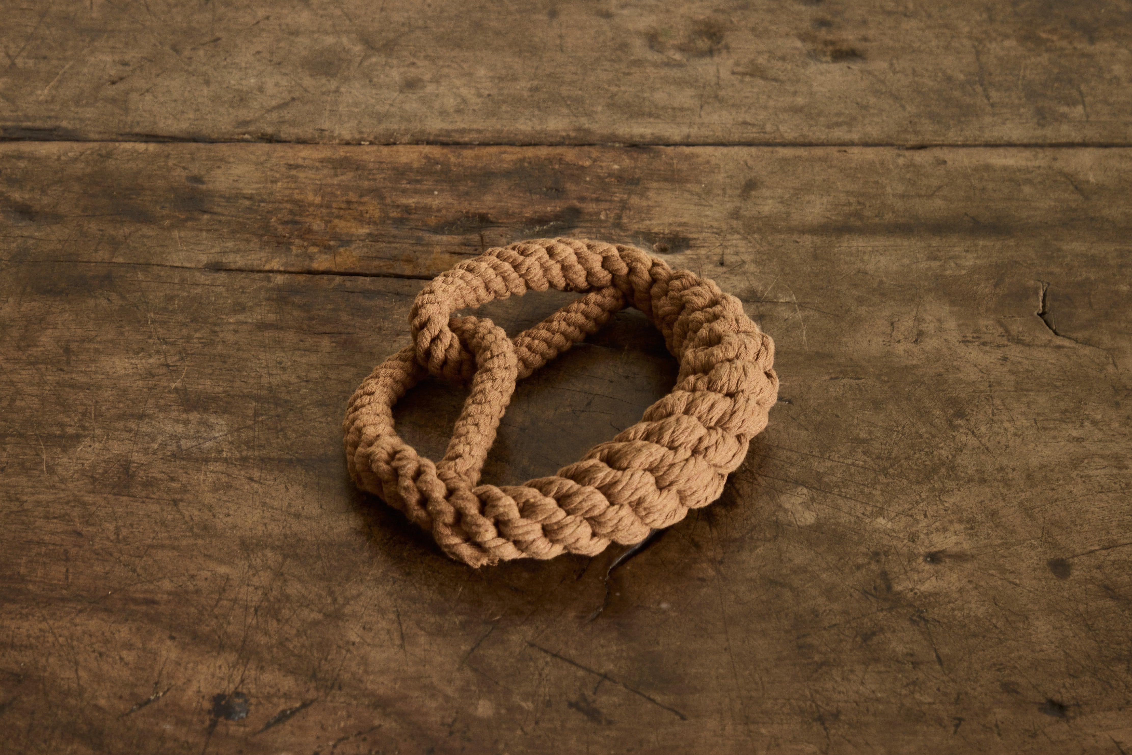 Pretzel Dog Toy