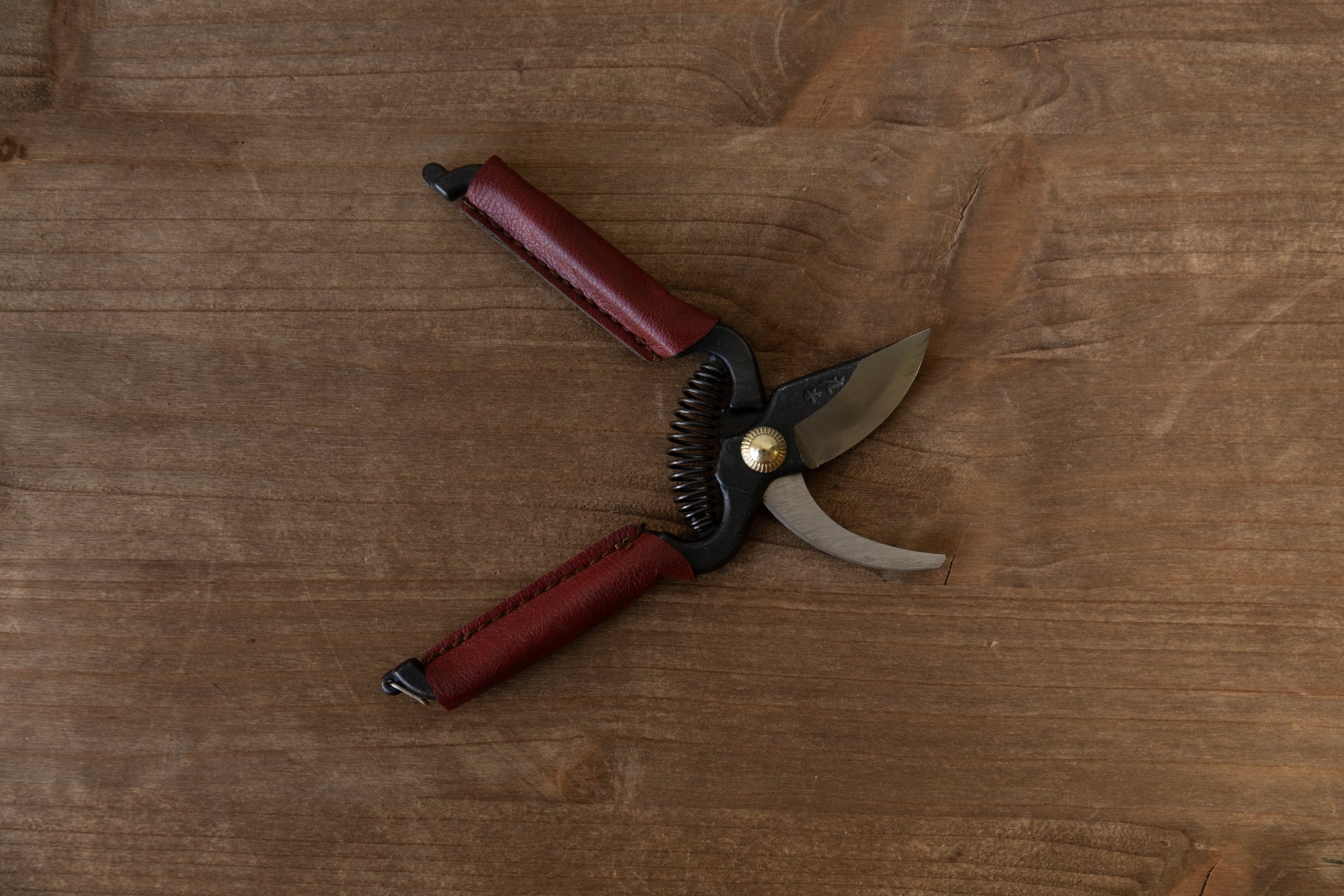 Mini Secateurs