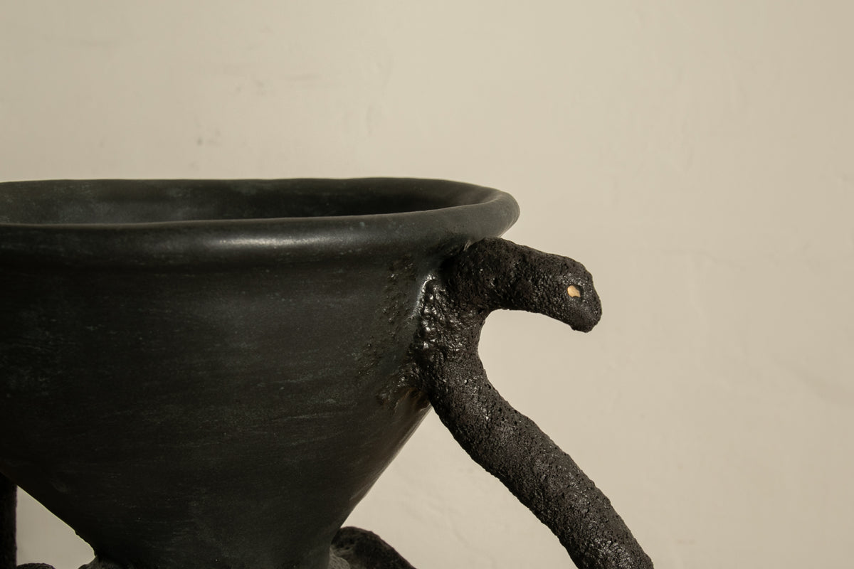 Medusa Vessel II