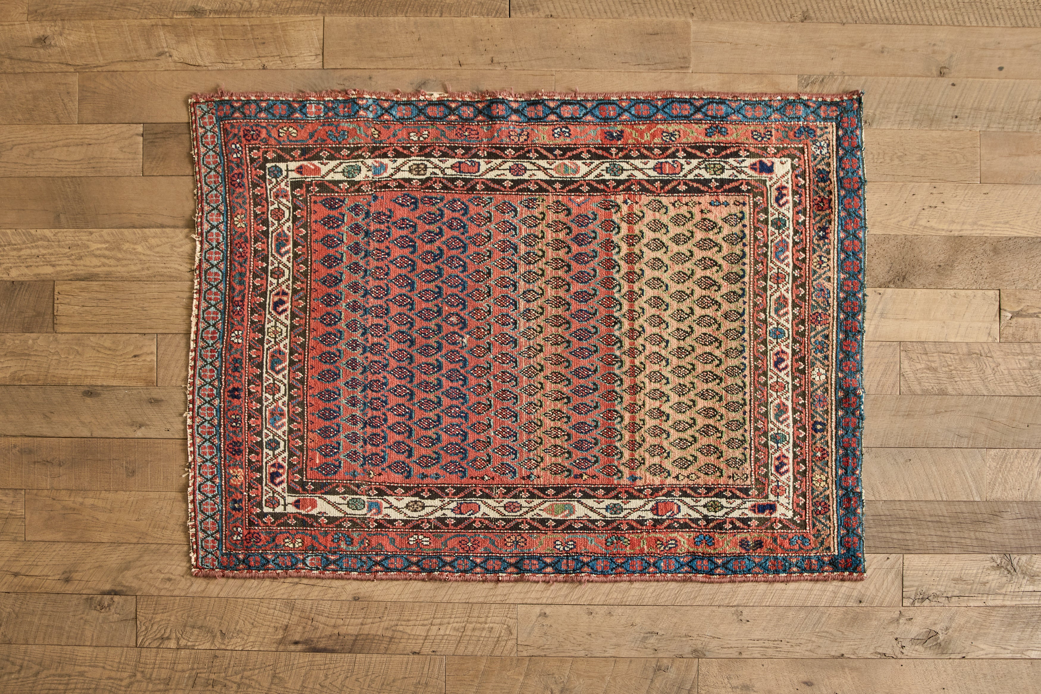 Paisley Pattern Rug 3'10 X 5'3