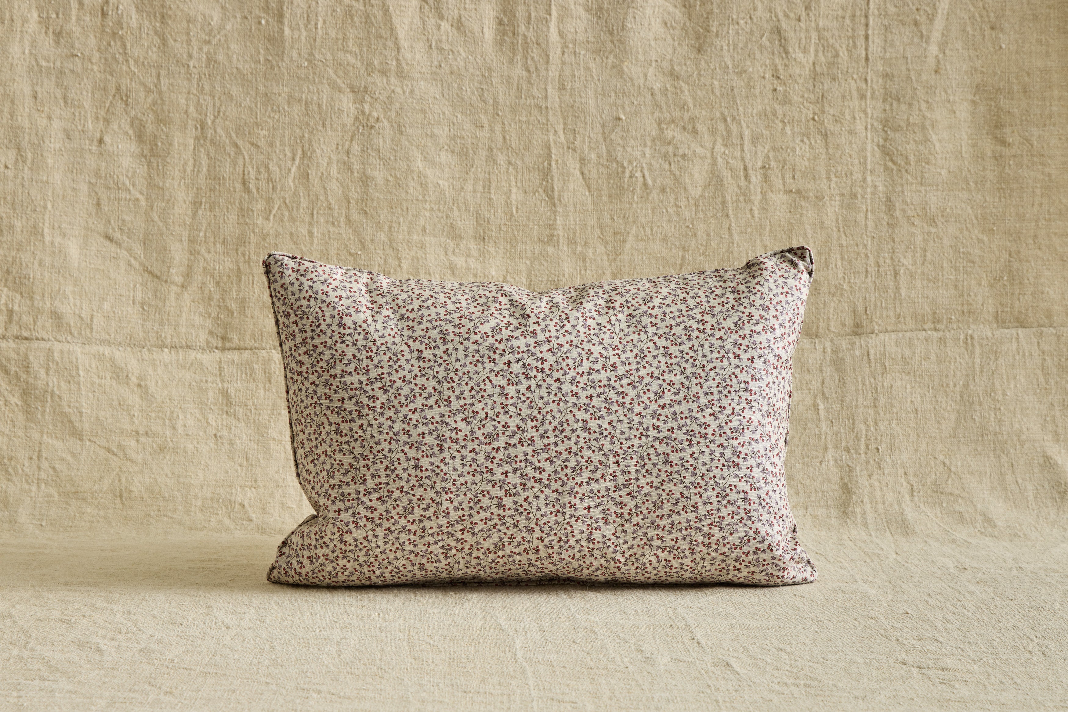 Howe Four Seasons in Winter Pillow