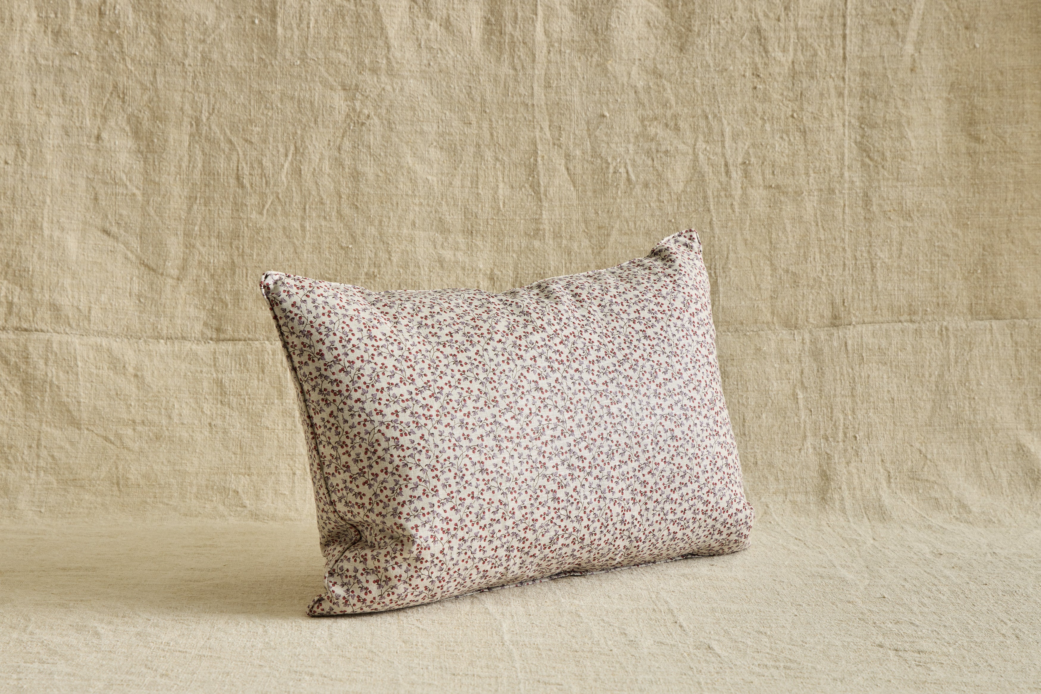 Howe Four Seasons in Winter Pillow