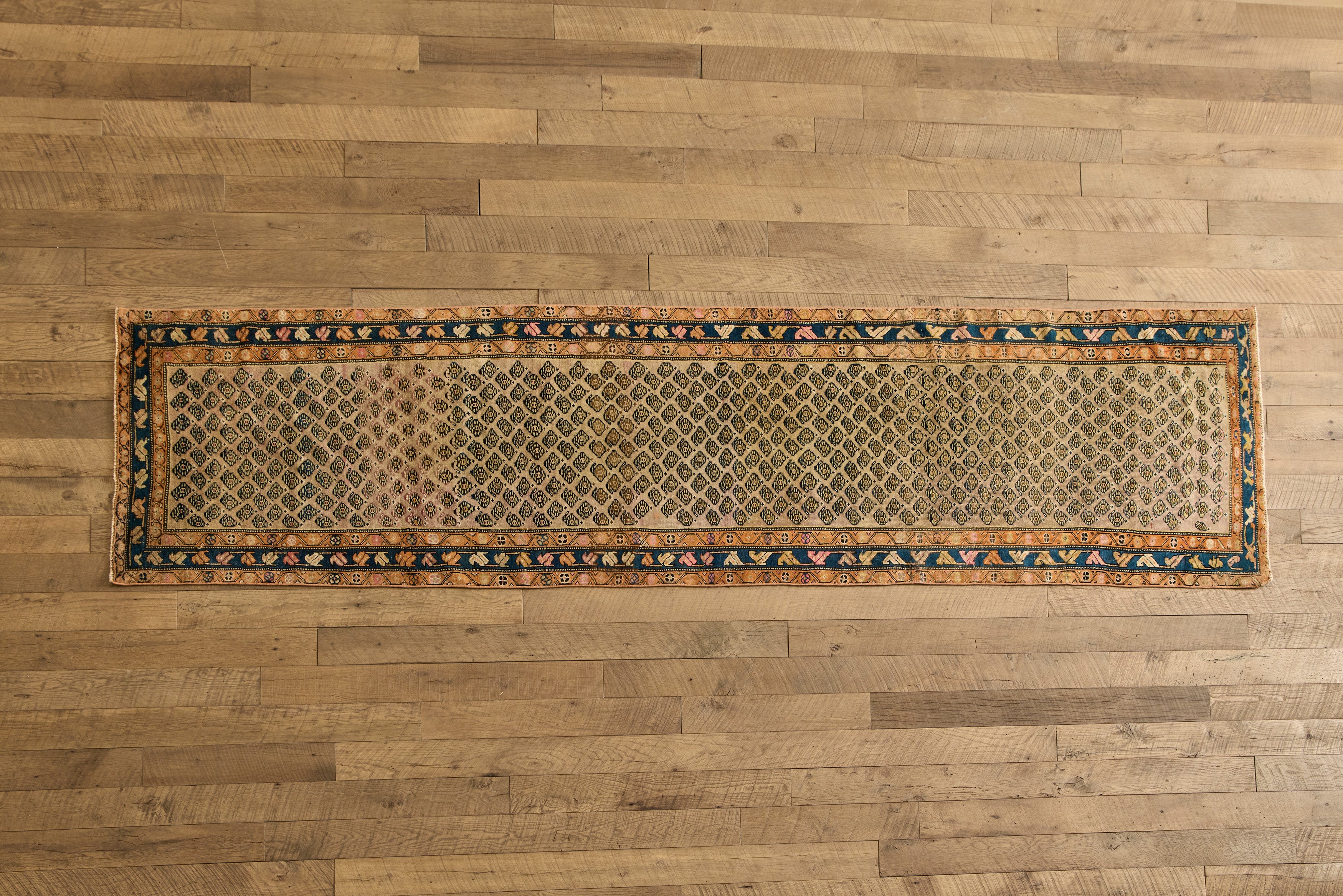 Persian Paisley Runner 3'4 x 12'9