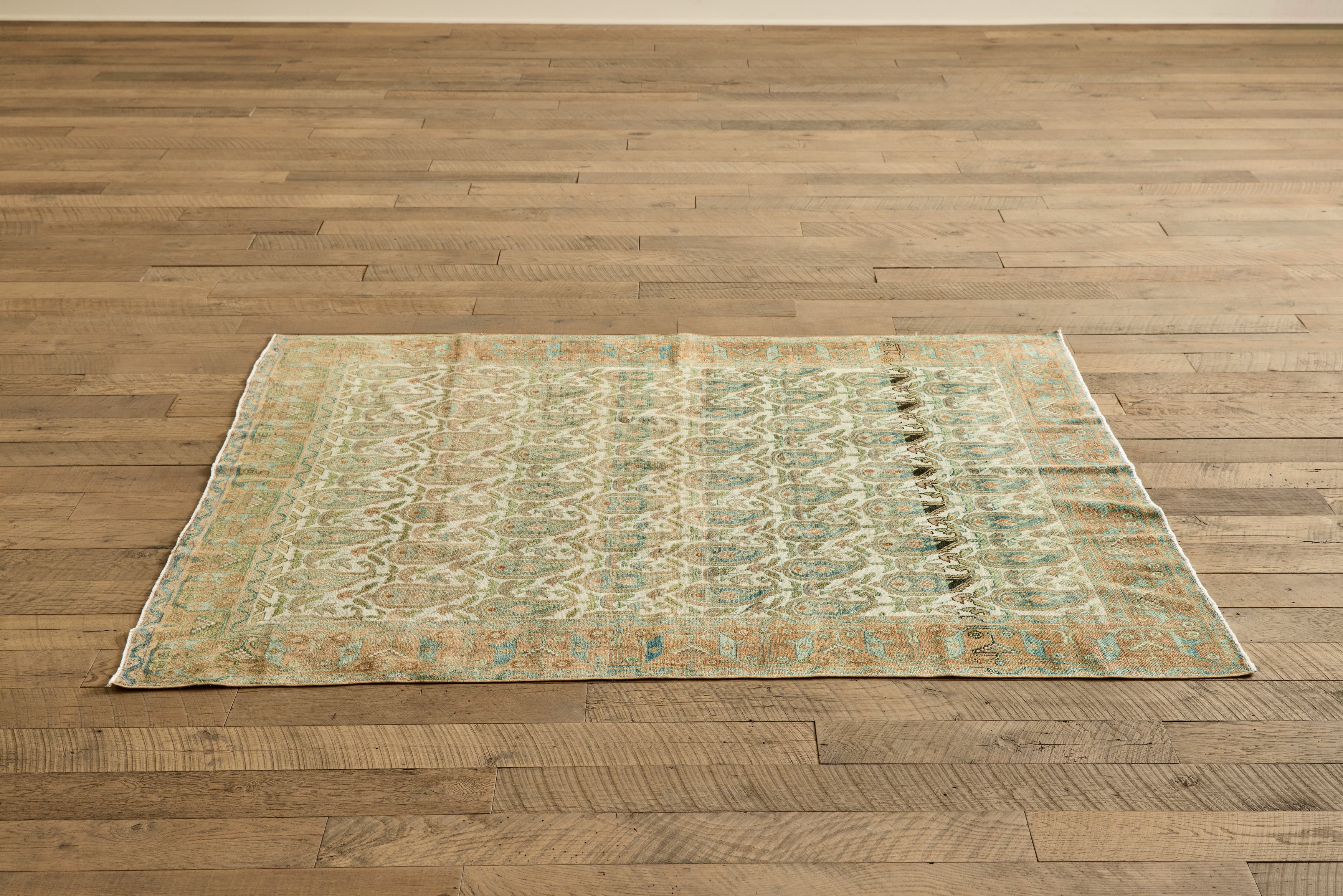 Persian Botanical Rug 5'5 x 6'10
