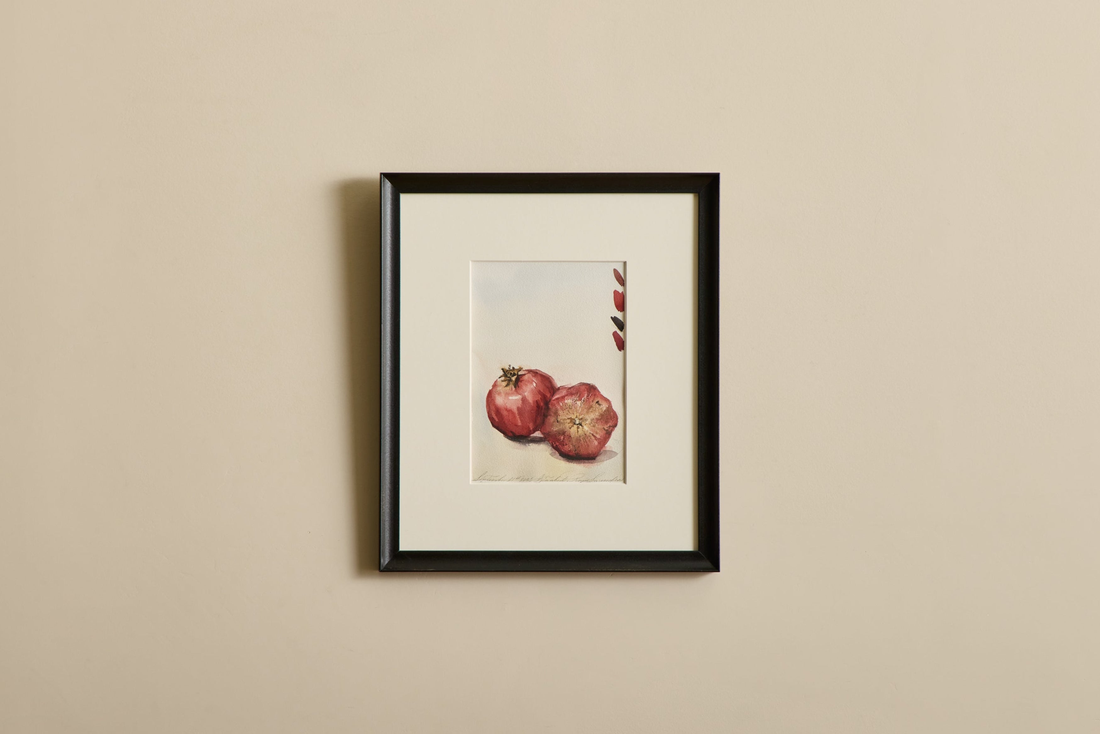 Ripe Pomegranate Study