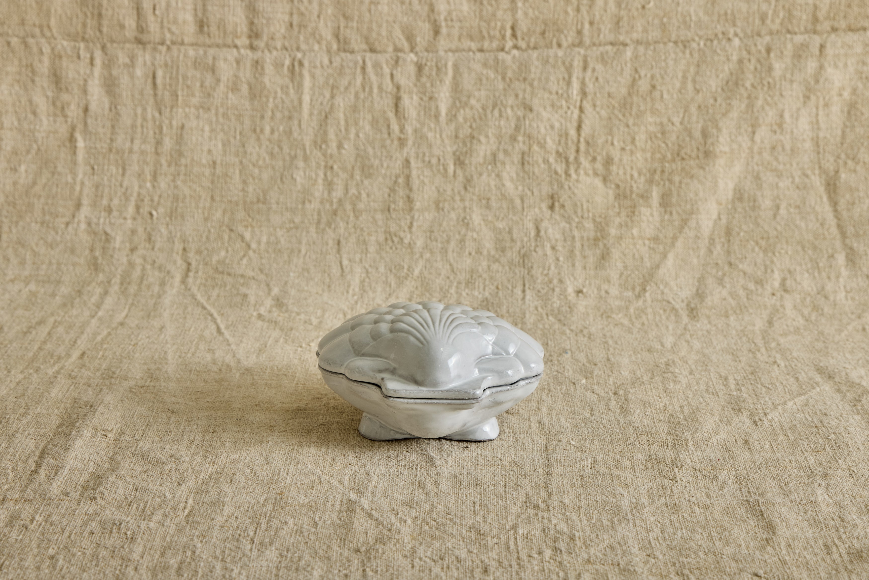 Coquillage Box