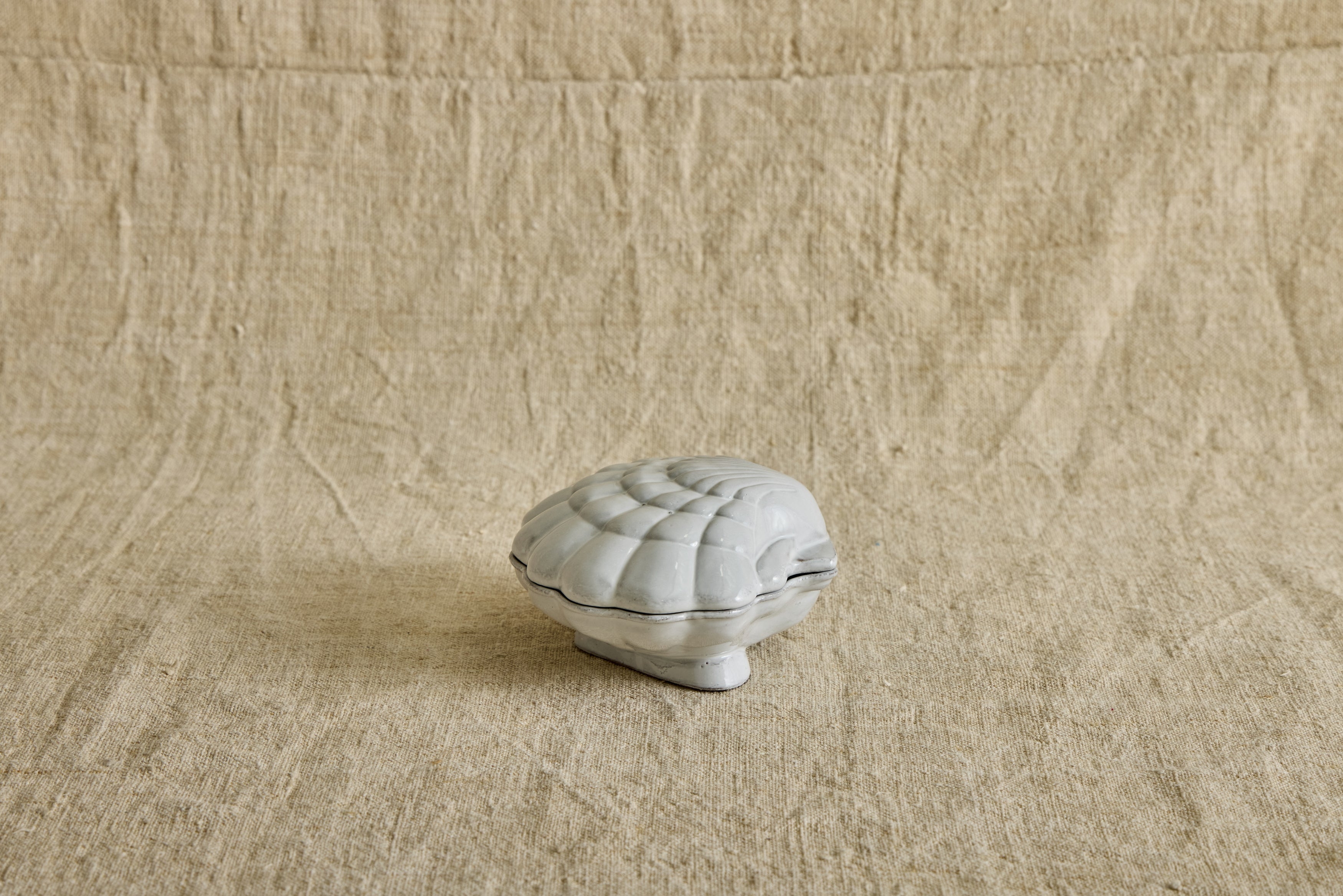 Coquillage Box