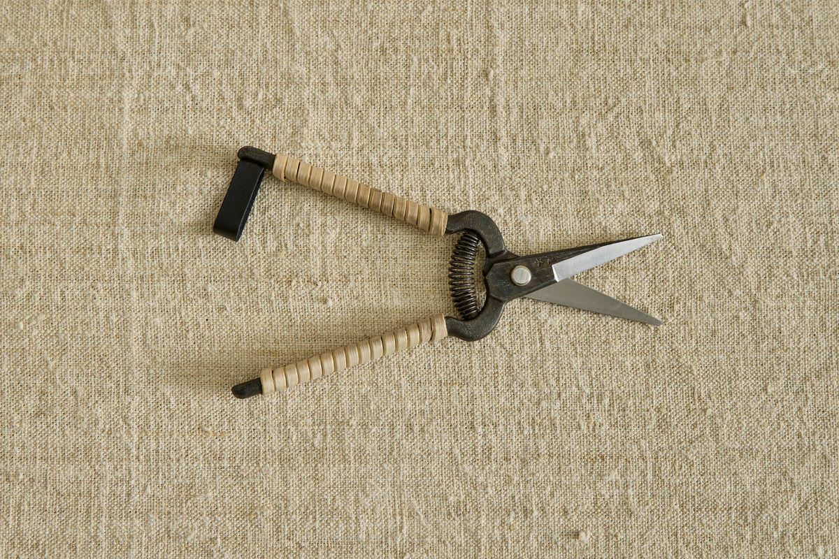 Rattan Snips