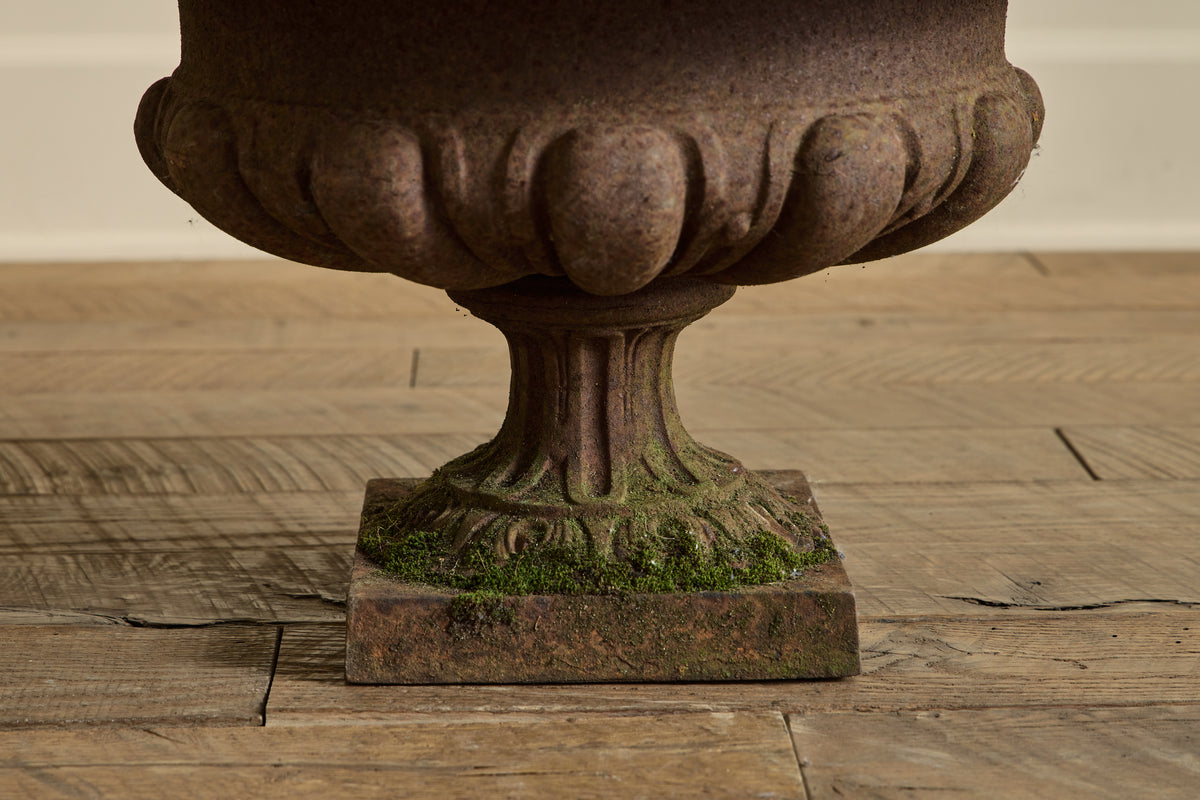 Pair of French Iron Planters