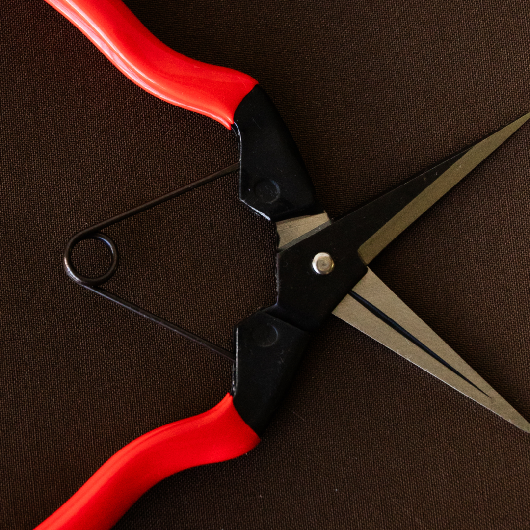 Garden Snips