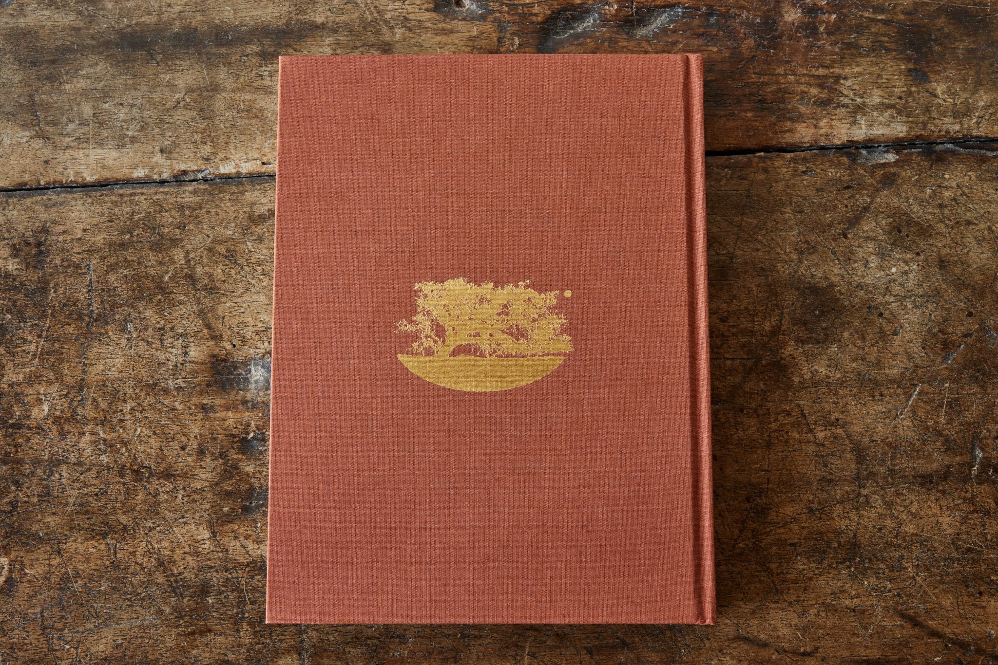 Golden Light, The Interior Design of Nickey Kehoe - Nickey Kehoe