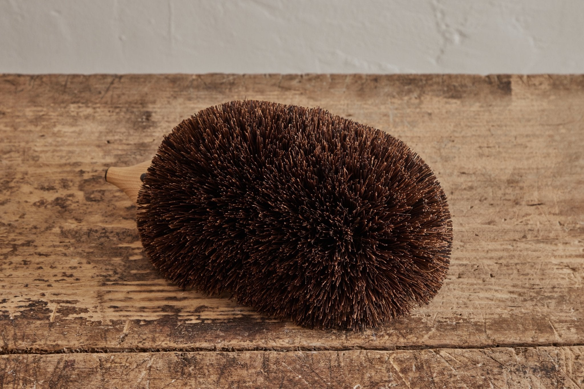 Hedgehog Shoe Cleaner - Nickey Kehoe