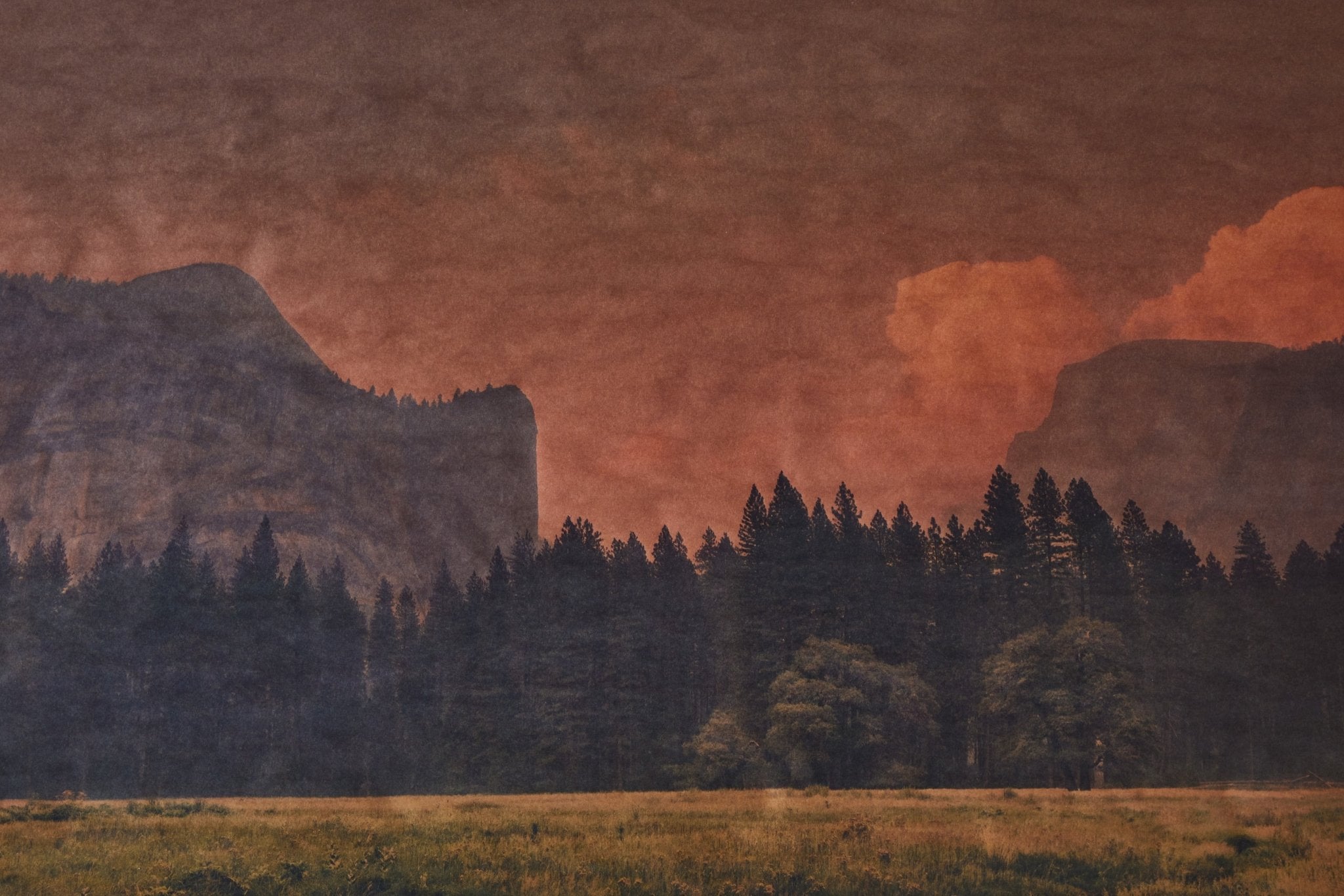 Joslyn Lawrence, Song for Willie Nelson, Yosemite, California - Nickey Kehoe