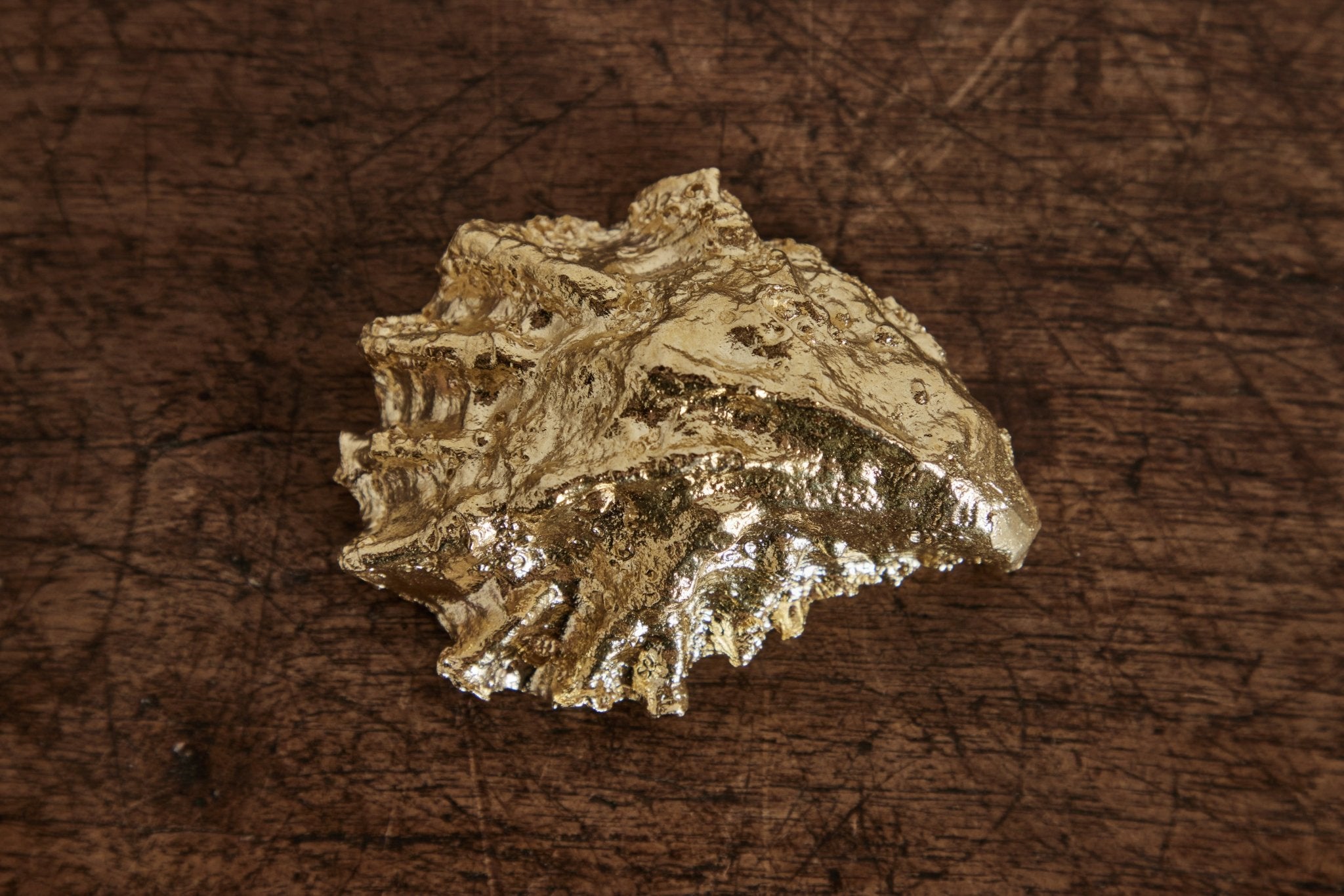 Unearthen, Brass Oyster Shell - Nickey Kehoe