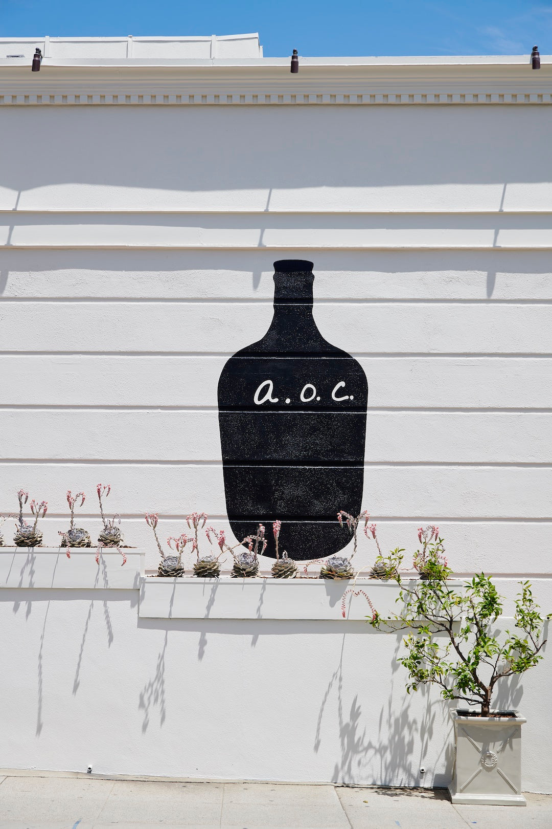 A.O.C.