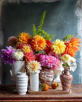 Ceramics Trunk Show with Frances Palmer