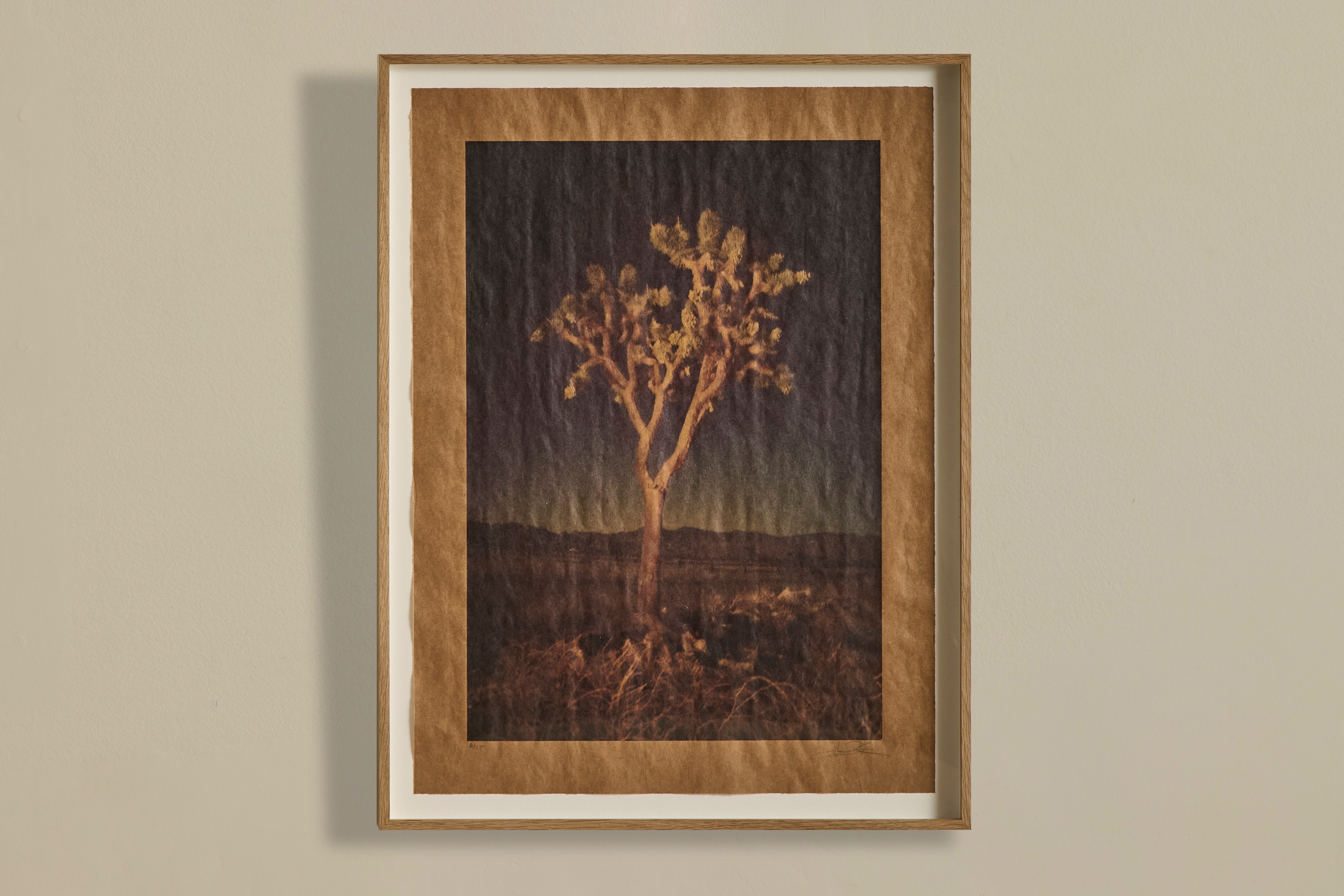 Hunting for Nighthawks, Pioneertown, California