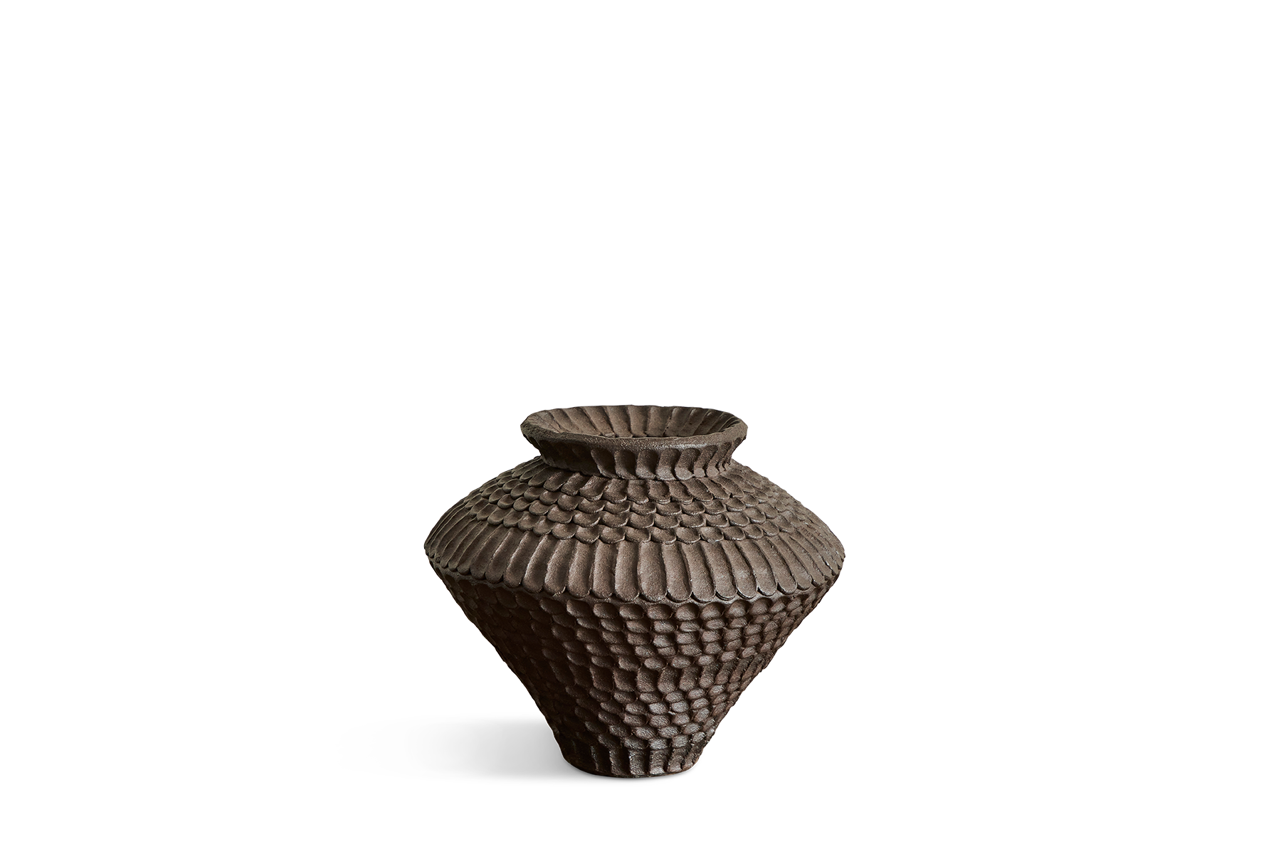 Palo Verde Pot