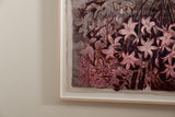 Amaryllis II