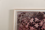 Amaryllis II