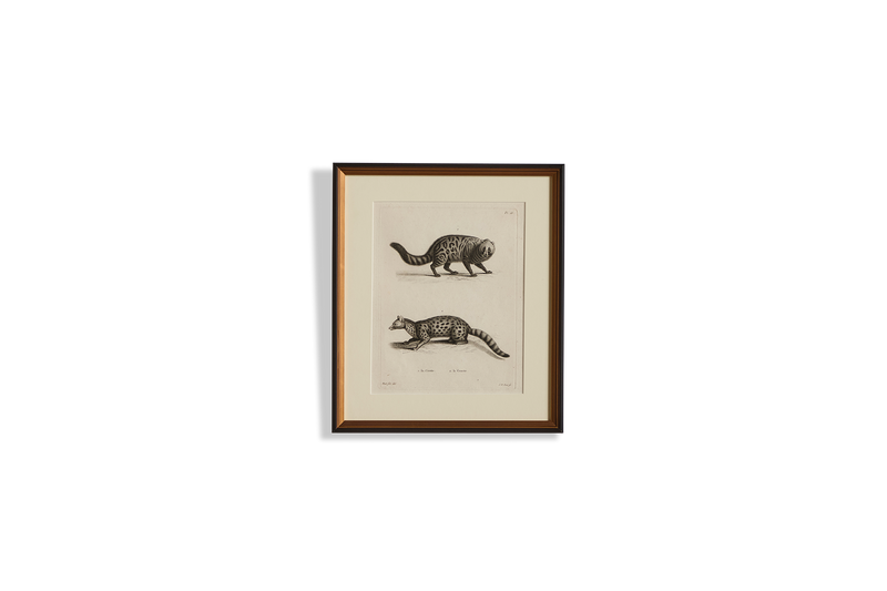 Animal Engraving N.3