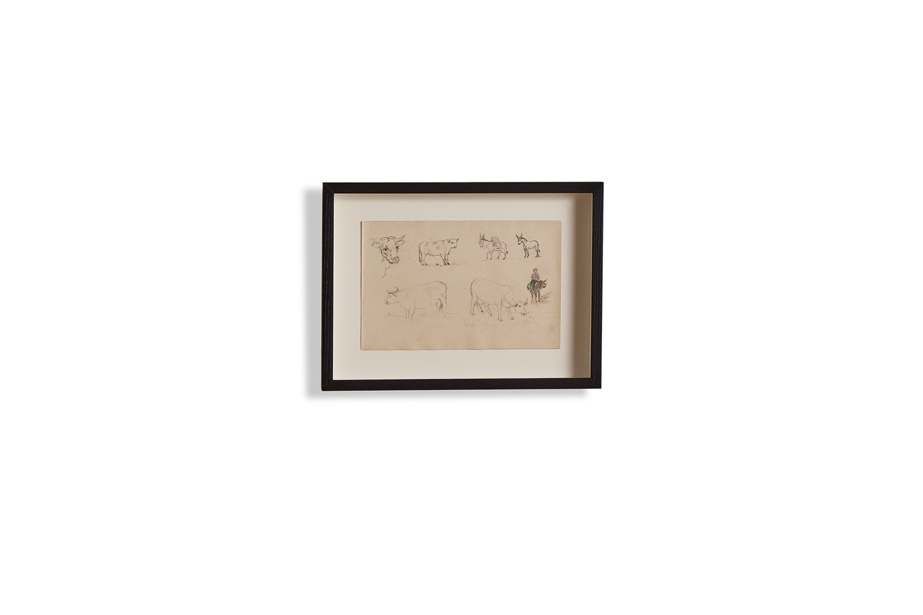 Cattle Drawing