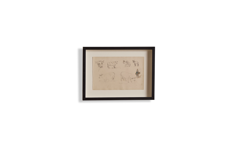 Cattle Drawing