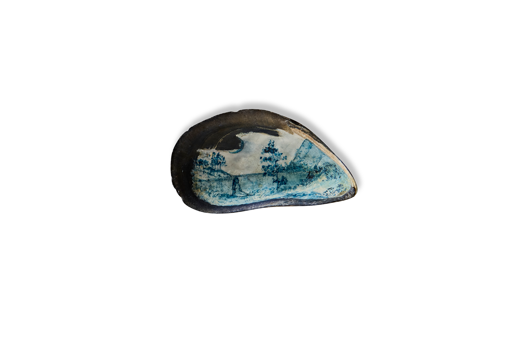 Painted Shell 3