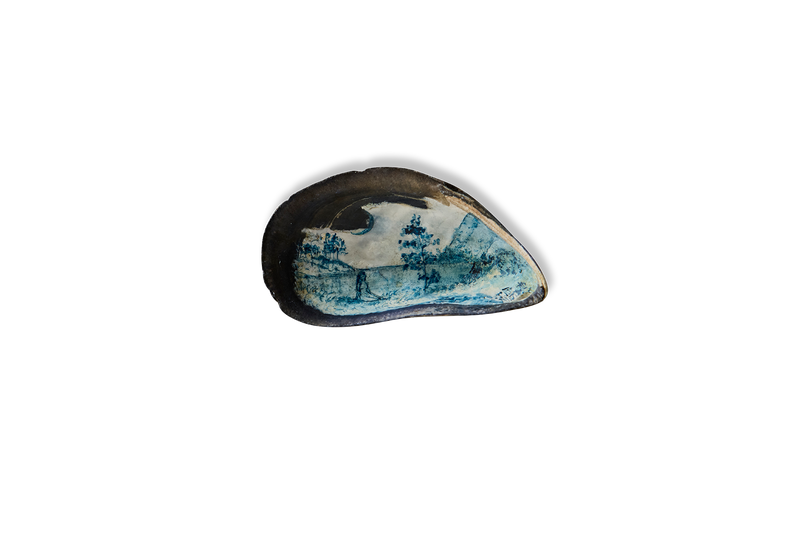 Painted Shell 3