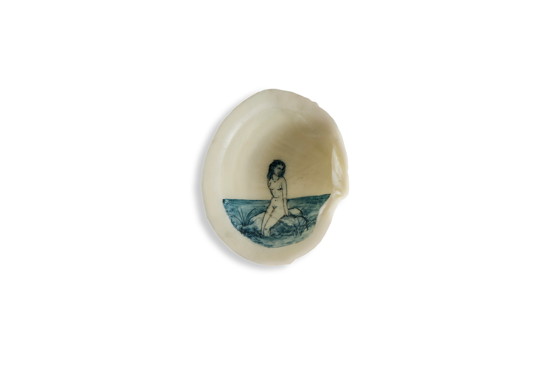 Painted Shell 2