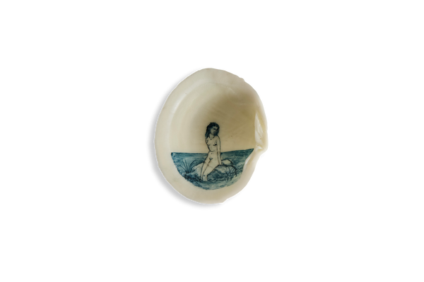 Painted Shell 2