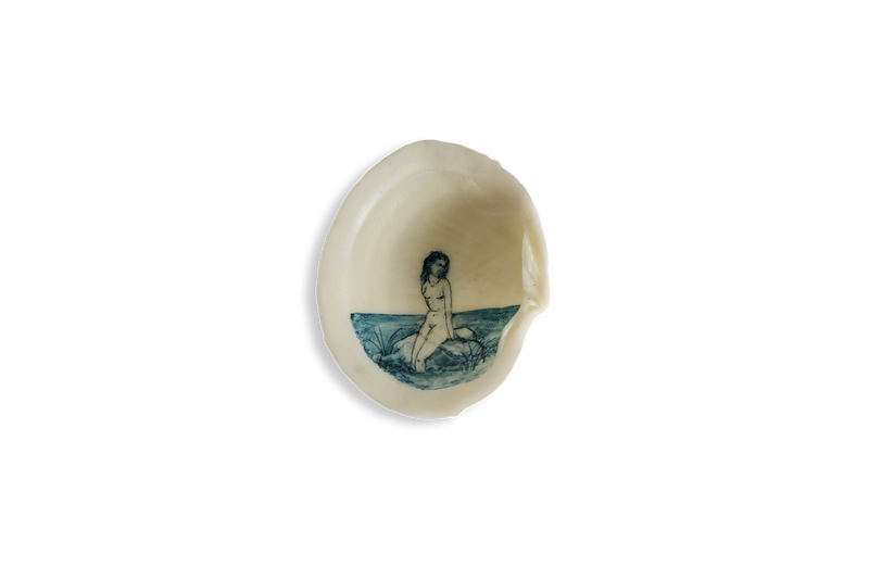 Painted Shell 2