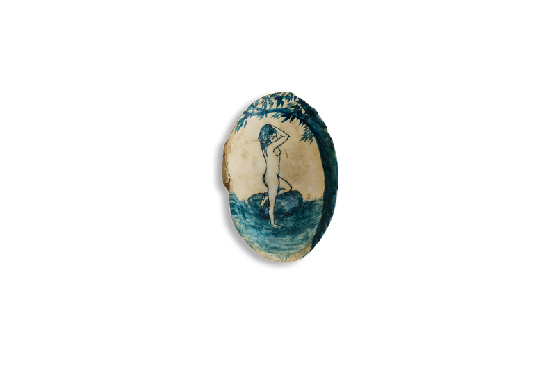 Painted Shell 1