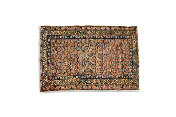 Blush Boteh Throw Rug 3’4 X 4’10