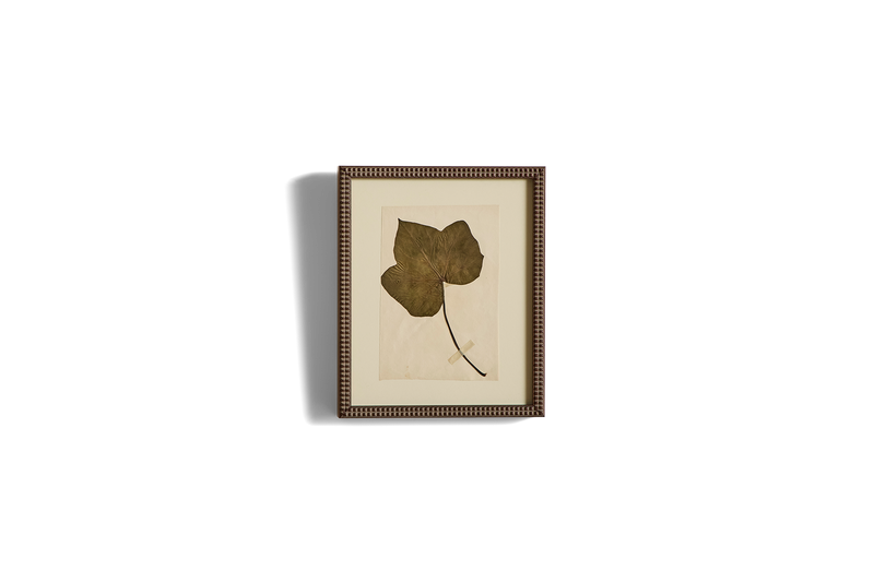 Small Botanical Print No.1