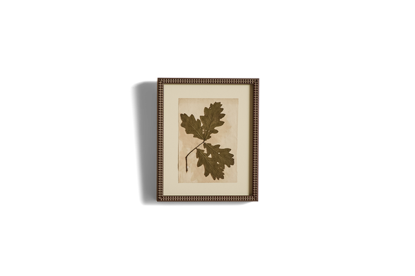 Small Botanical Print No.5