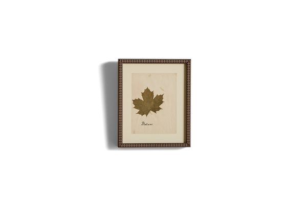 Small Botanical Print No.7