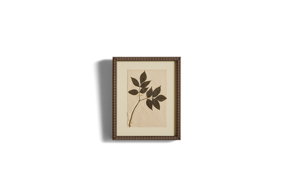Small Botanical Print No.9