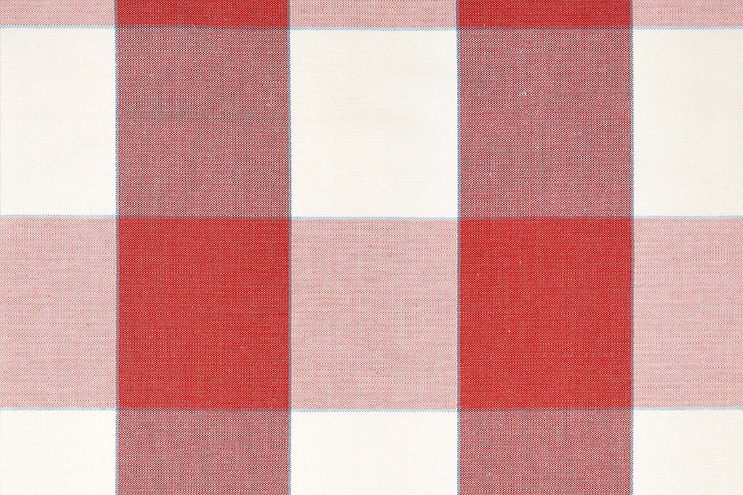 Jumbo Gingham in Apple