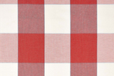 Jumbo Gingham in Apple