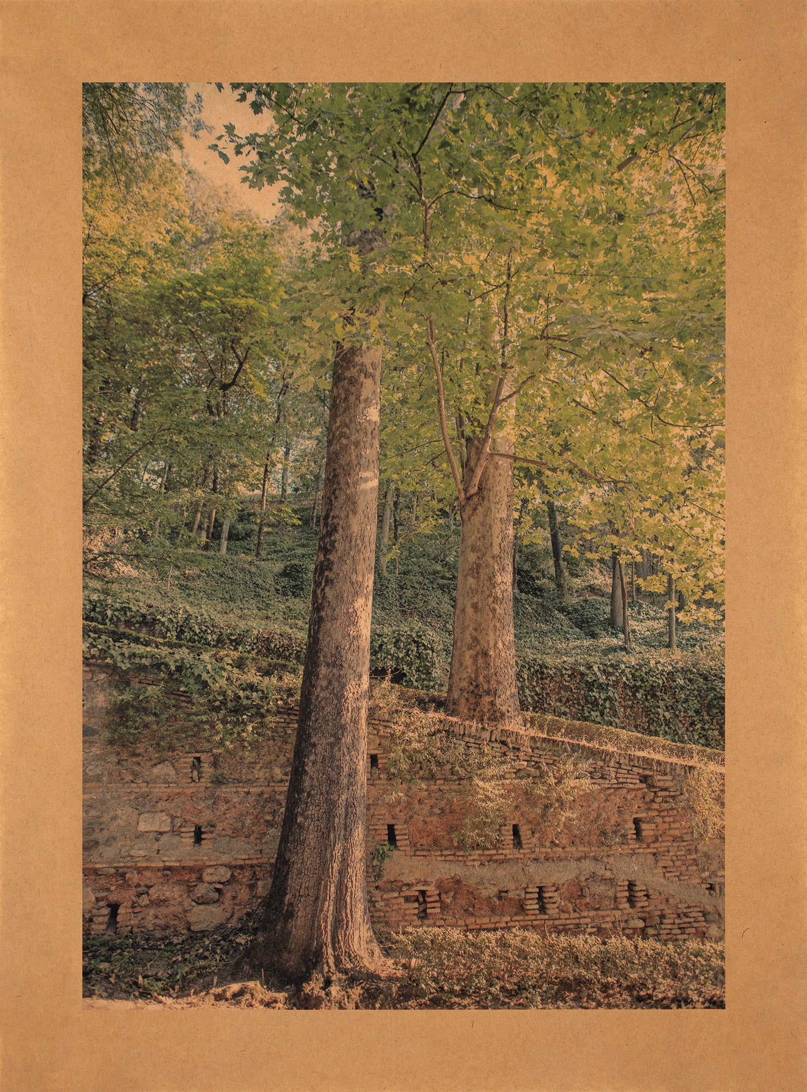 Arpeggio, Granada, Spain