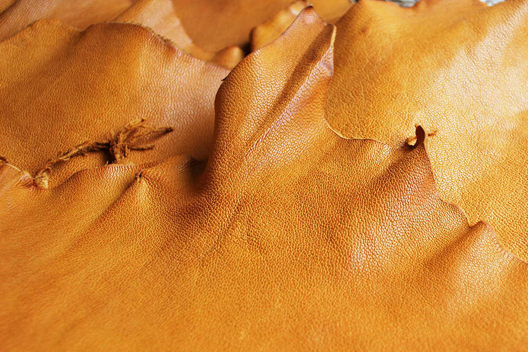 Natural Maroc in Butternut