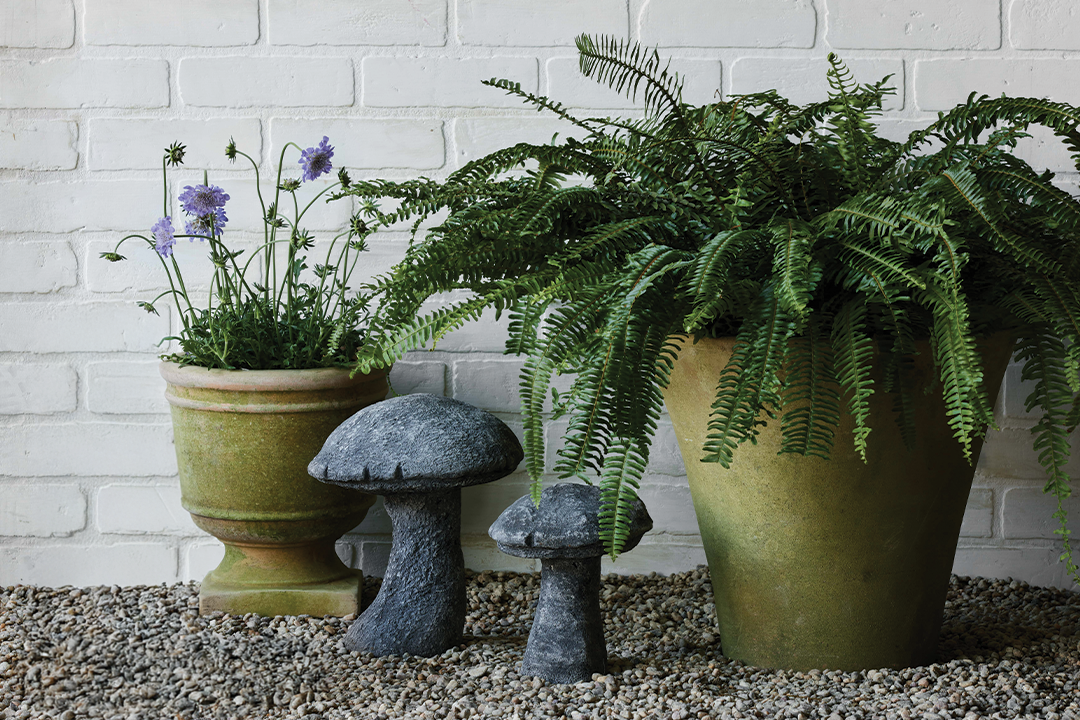 Aged Garden Mushroom