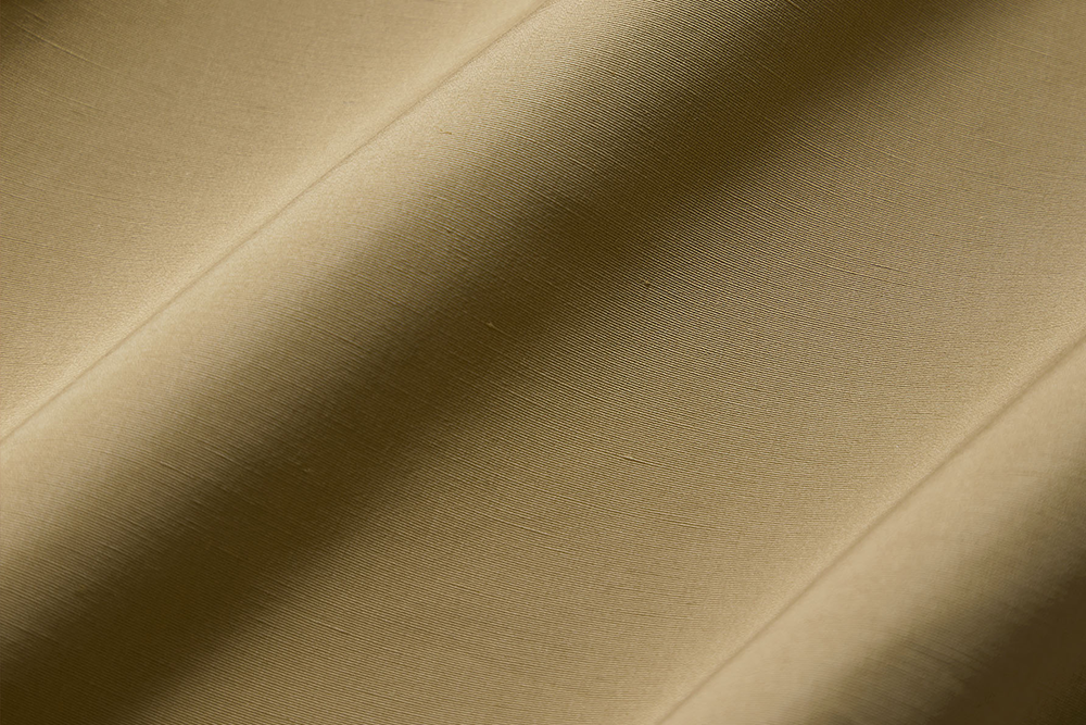 Parchment in Cardboard