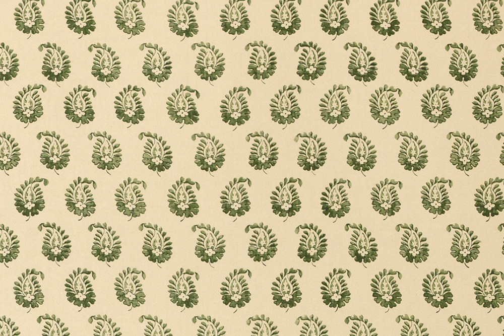 Cypress Wallpaper (Multiple Colors)