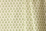 Cypress Linen in Dill