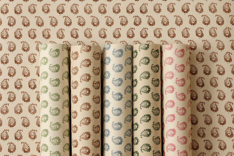 Cypress Wallpaper (Multiple Colors)
