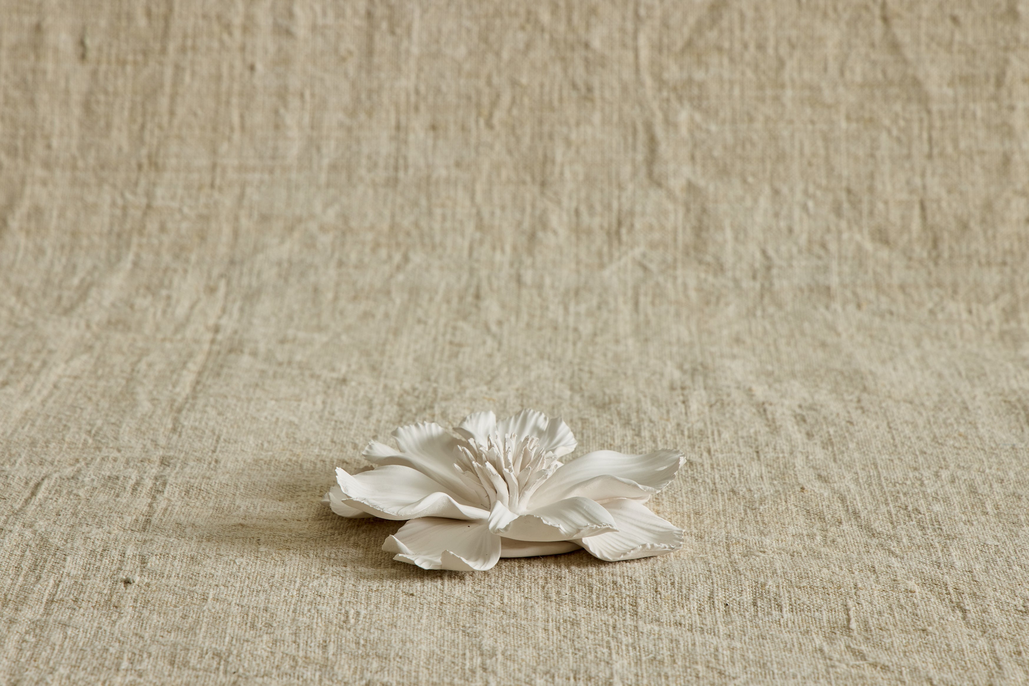 Indra Home Fragrance Diffuser