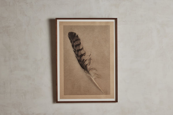 Joslyn Lawrence, Feather